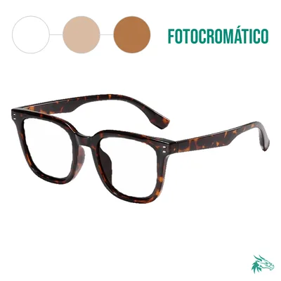 Tortoise / Fotocromático Café