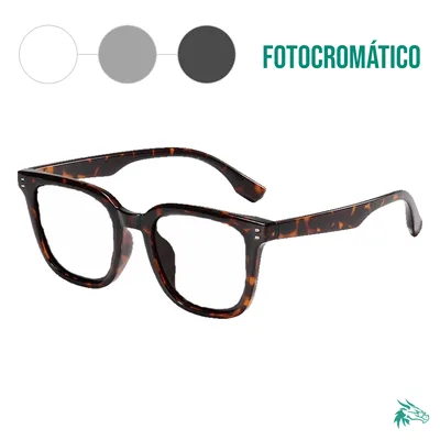 Tortoise / Fotocromático Gris