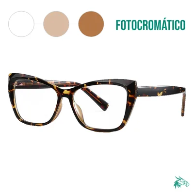 C6 / Fotocromático Café