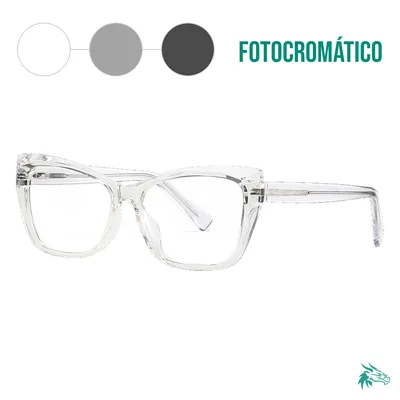 C2 / Fotocromático Gris