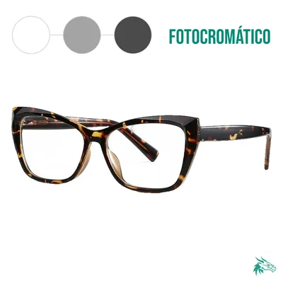 C6 / Fotocromático Gris
