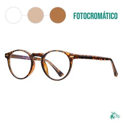 Tortoise / Fotocromático Café