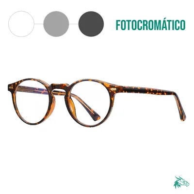 Tortoise / Fotocromático Gris