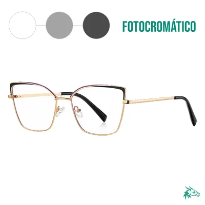 C1 / Fotocromático Gris
