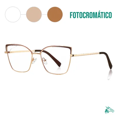 C2 / Fotocromático Café