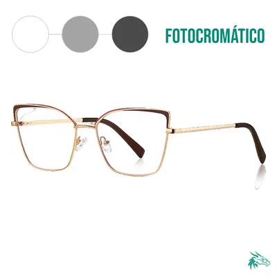 C2 / Fotocromático Gris