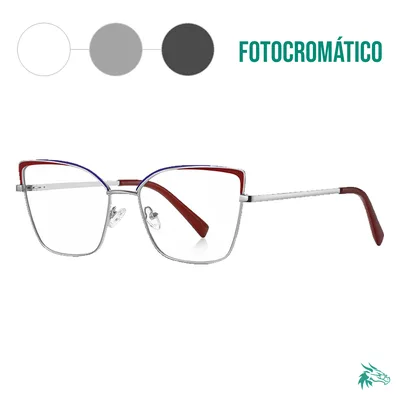 C4 / Fotocromático Gris