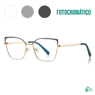 C6 / Fotocromático Gris