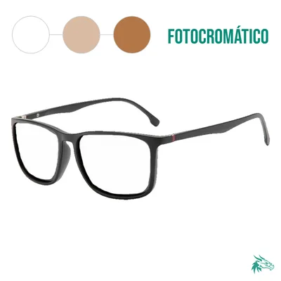Matte Black / Fotocromático Café