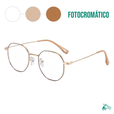 C2 / Fotocromático Café